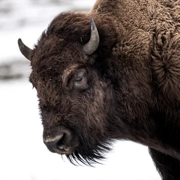 安装引导与设备支持